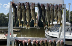 Targeting Lake Erie's Walleye Gold